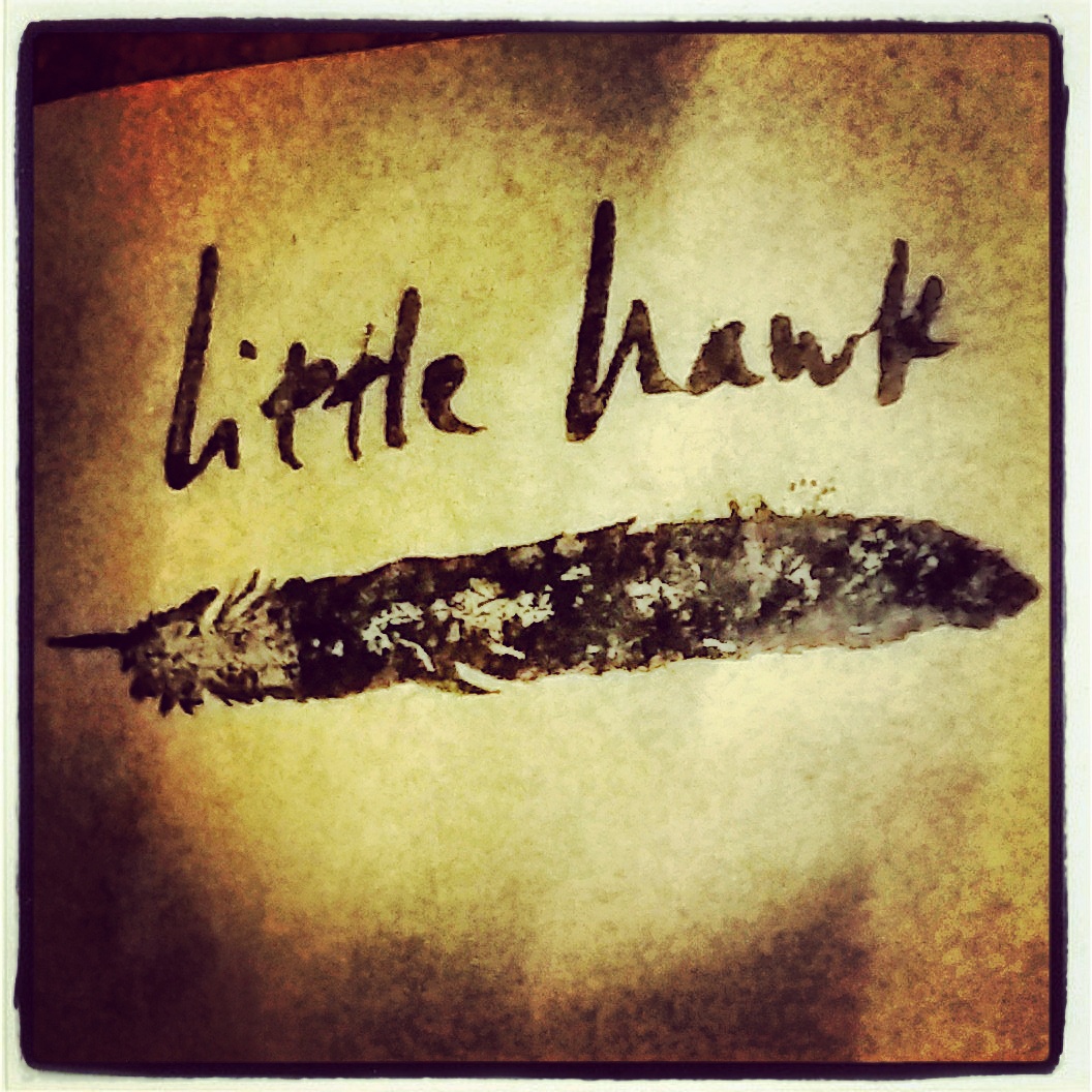Little Hawk