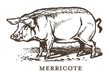 Merricote