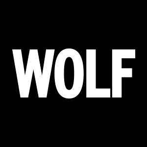 Wolf Interactive