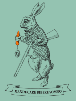 Rabbit Carrot Gun